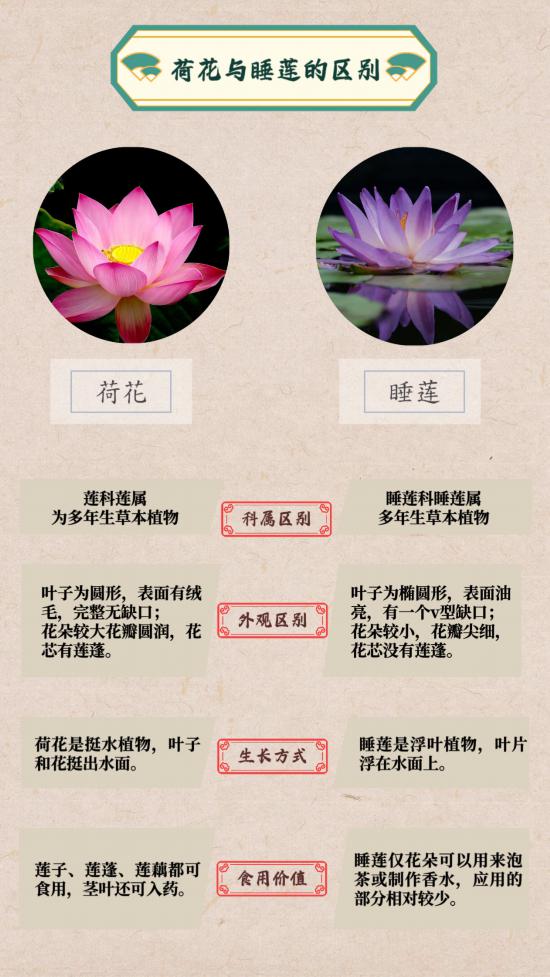 죬ǵıɡ